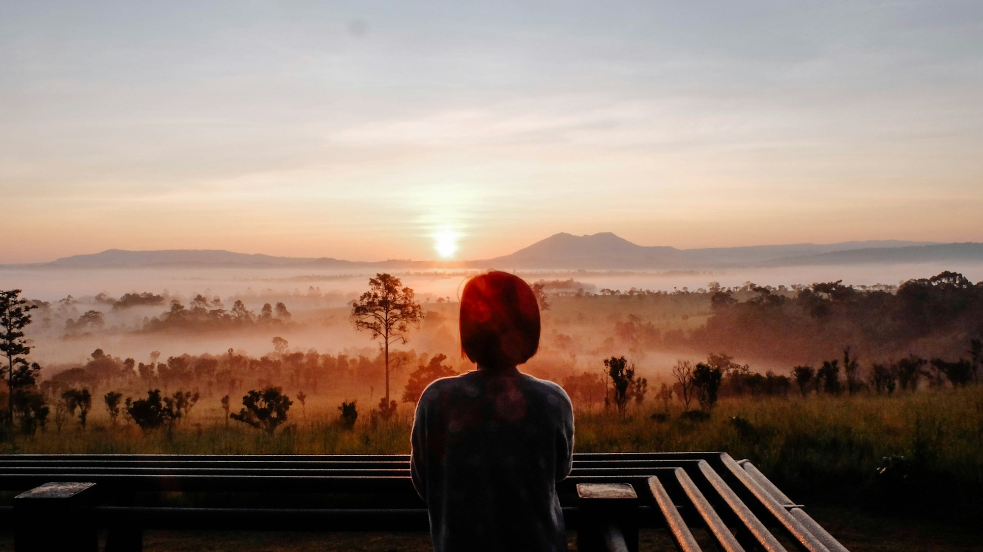 「革新的な治療法の実現：自己免疫性肺胞蛋白症に光をもたらすGM-CSF吸入療法の薬事承認成功」