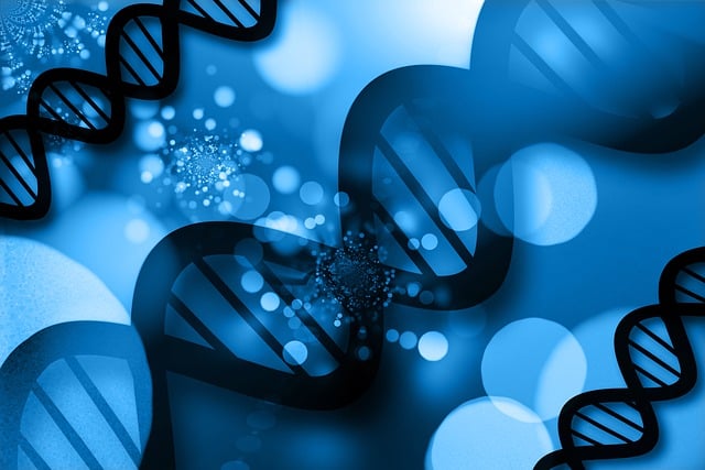 中外製薬、デュシェンヌ型筋ジストロフィー治療薬「エレビジス」が日本で承認取得