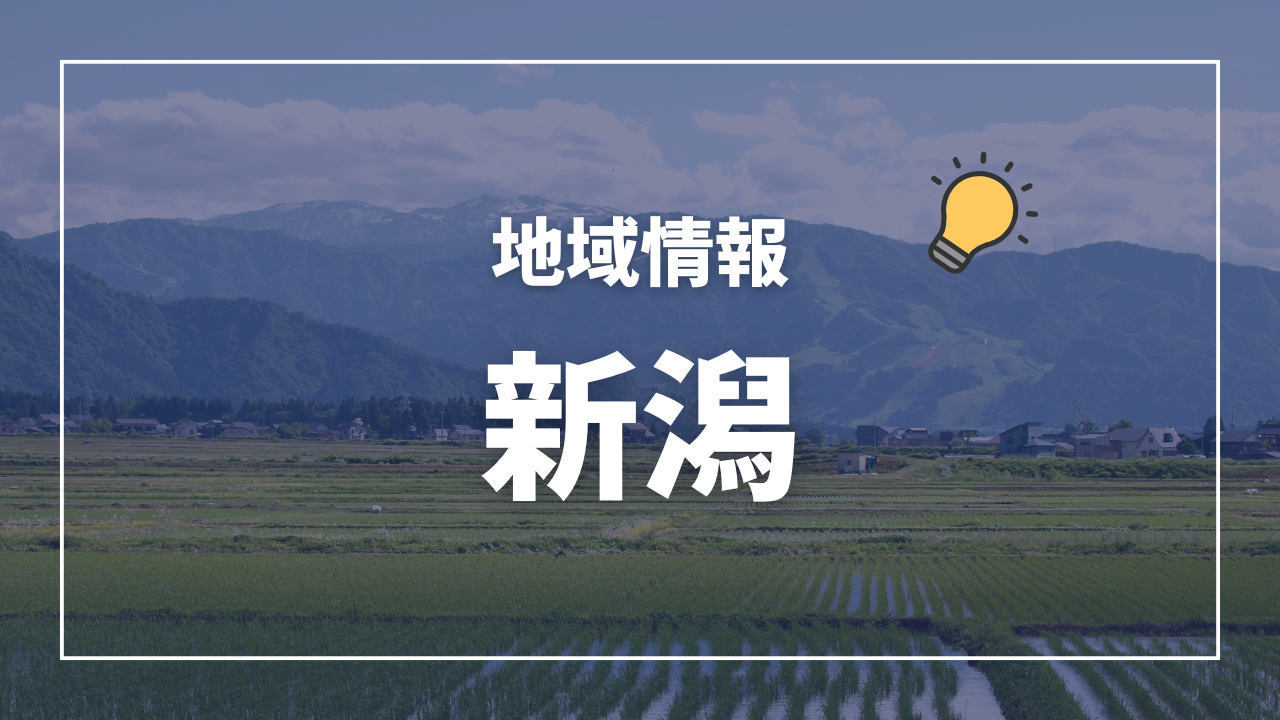 新潟市の難病患者向け医療費助成制度の概要